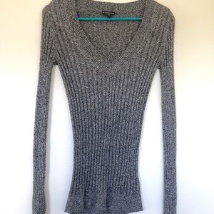 Express V-NeckSaeater